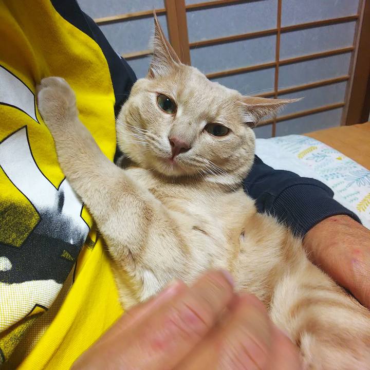 68d52a16 2fb5 487f 8904 aa3e8a927e48 1607765433475