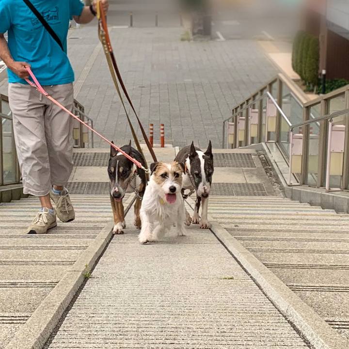 68d55baa 45a4 4c7f 9790 dc40e2566cb1 1591449845831