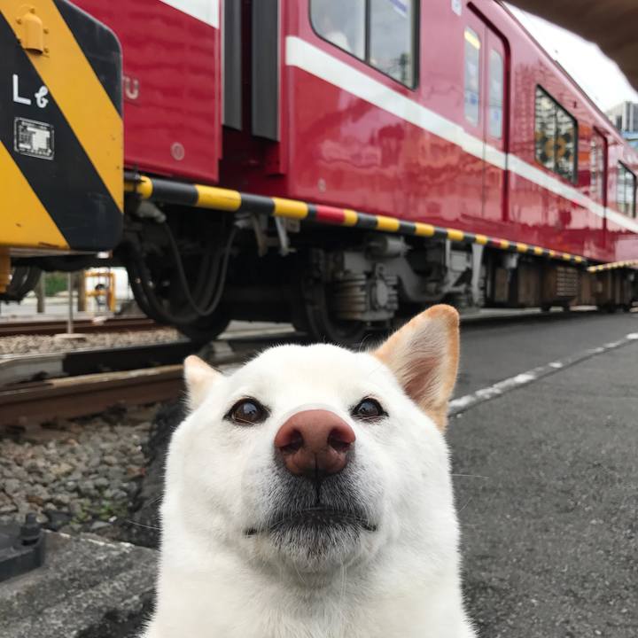 68d5b1c2 aa08 4104 878a 21a363dc9fc5 1510702547515