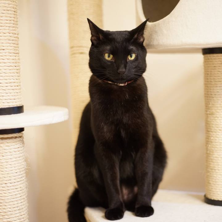 68d5c20f 077c 4855 9071 0b2ceac12190 1516604108296