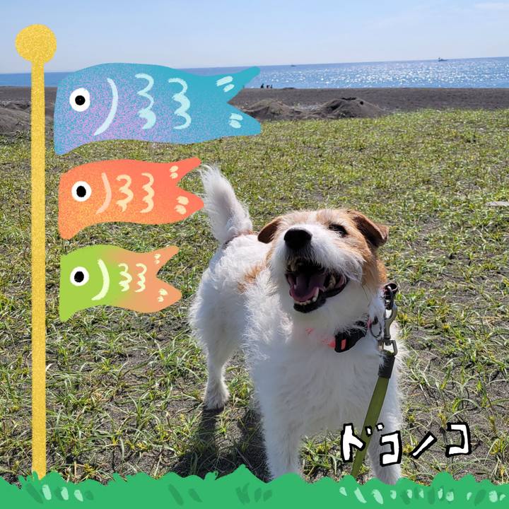 68d5dcfc eccc 4acf b1f5 04095b8c99d7 1714910808429