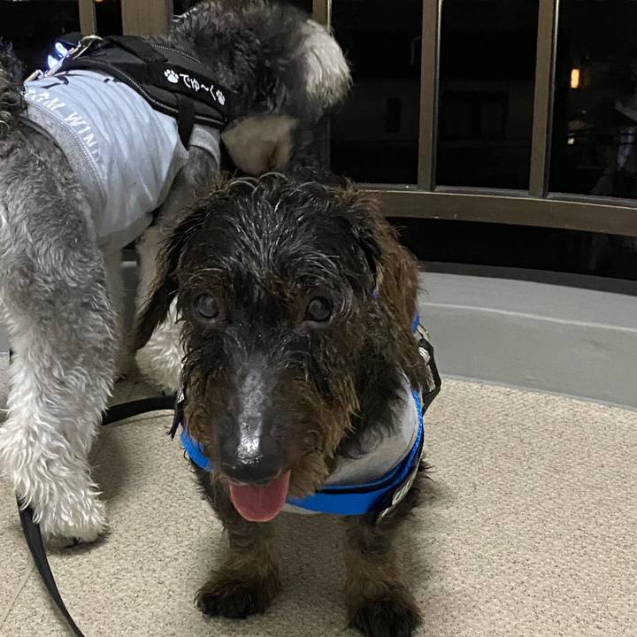 68d5ed92 b381 4ab5 a666 f3d963224cfe 1594993685472