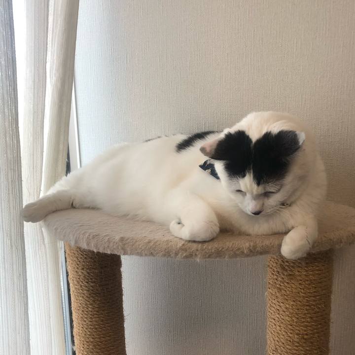 68d60d21 7c72 4421 ba5c 3989155c1973 1581753251931