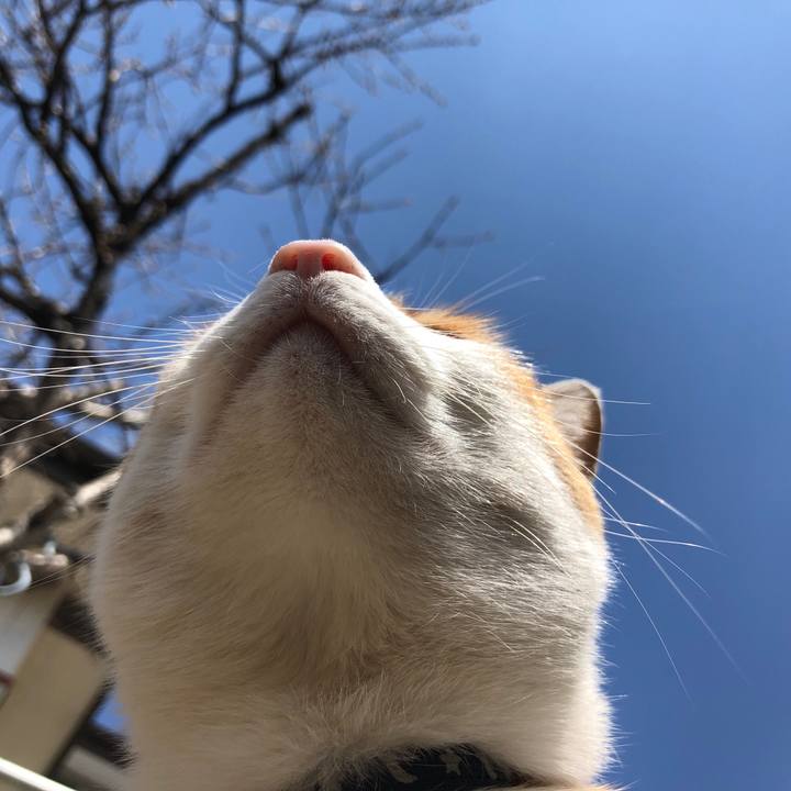 68d65ac0 85b2 4682 bcd8 111d6c477c84 1554596188631