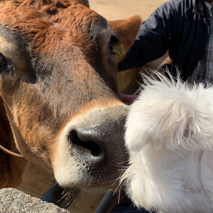 68d6801e 258f 419c 9812 09abec73237a 1635926688070