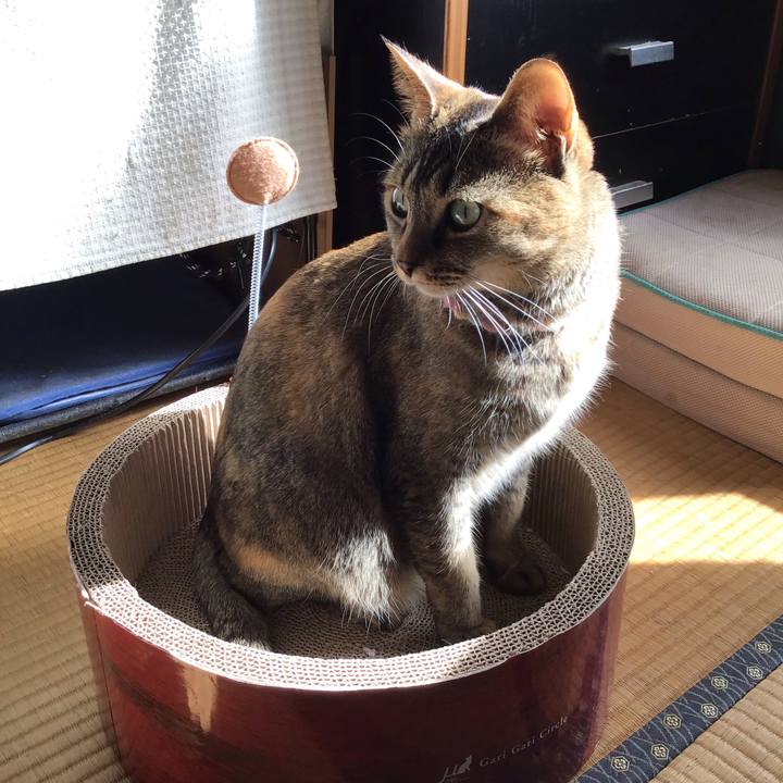 68d6899d db18 4e10 bb9f 26776152ca11 1616370846330