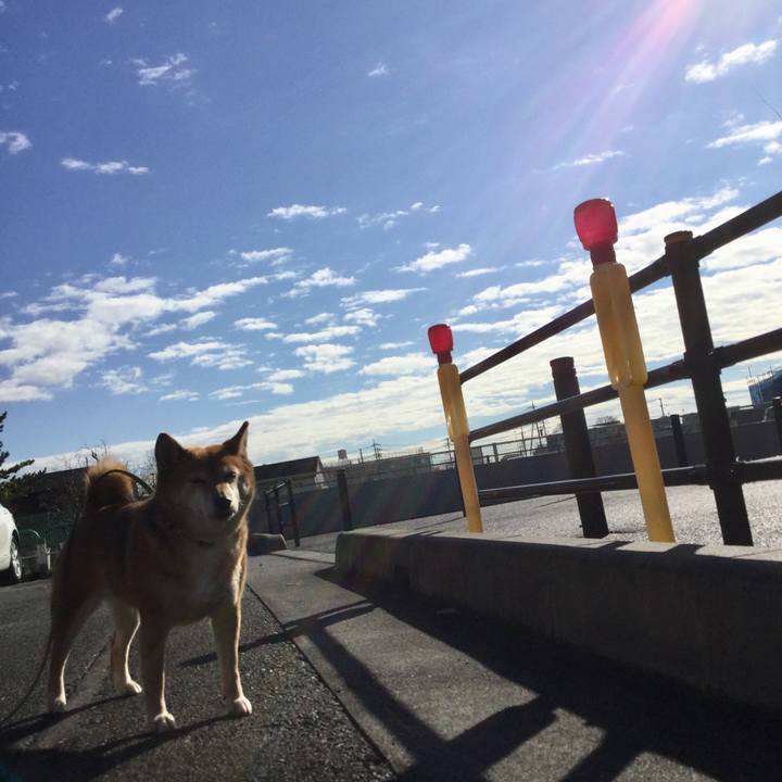 68d69629 f1e7 4219 b6ca b6e45227048b 1577071811488