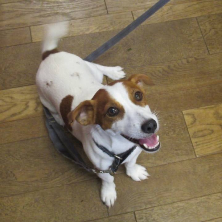 68d6a2fe 015c 49bf ac33 7caf55f658de 1563763908208