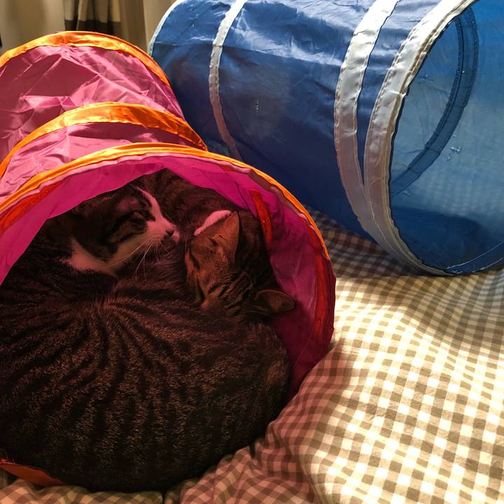 68d72037 9368 4ddd 8799 20887eae3f81 1521551014823