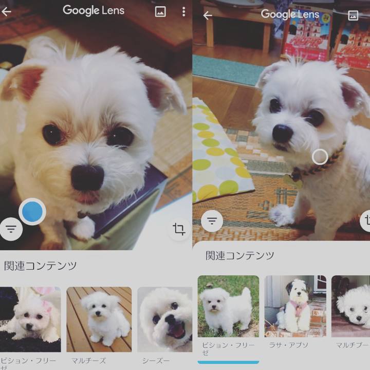 68d7281f d898 4919 9f05 d0909192182c 1592830820706