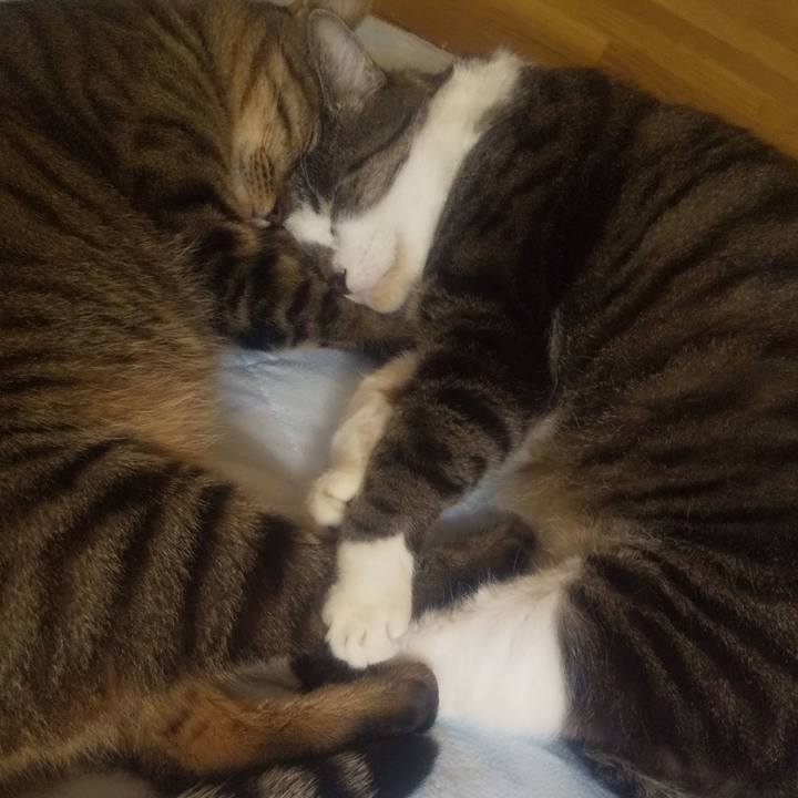 68d72d36 4e8e 4af7 896d ae4168ec924d 1693280468062