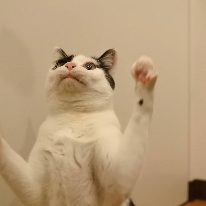 68d75730 e50a 4f04 a466 74eefd078c8c 1518438086391