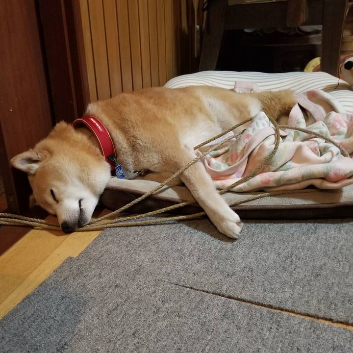 68d76212 a72d 41d4 9398 0a441fab9a1e 1716808457728