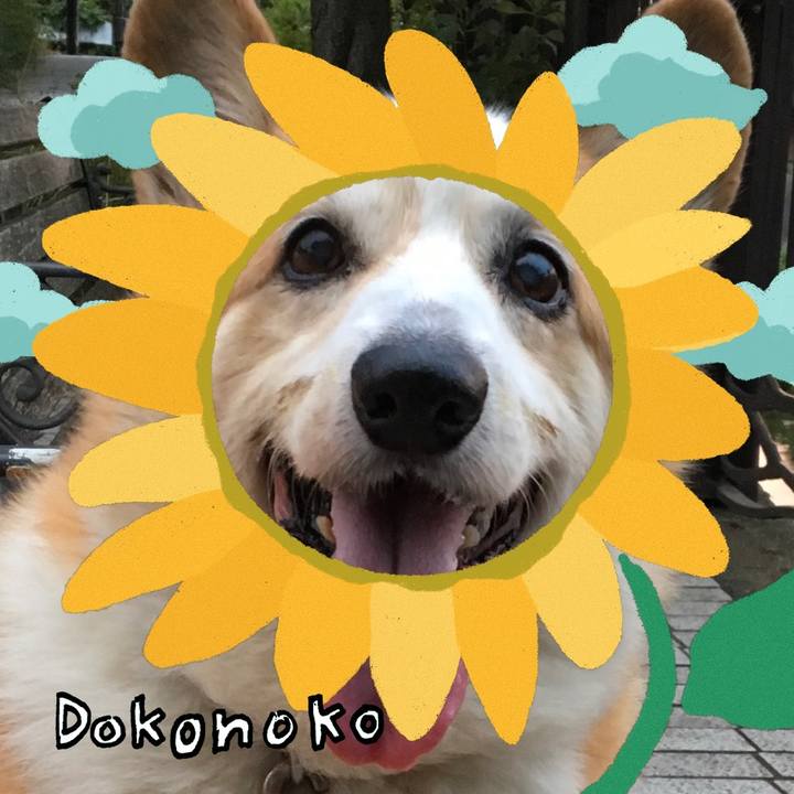 68d77290 4a00 48c6 9632 52df0626e034 1723513079864