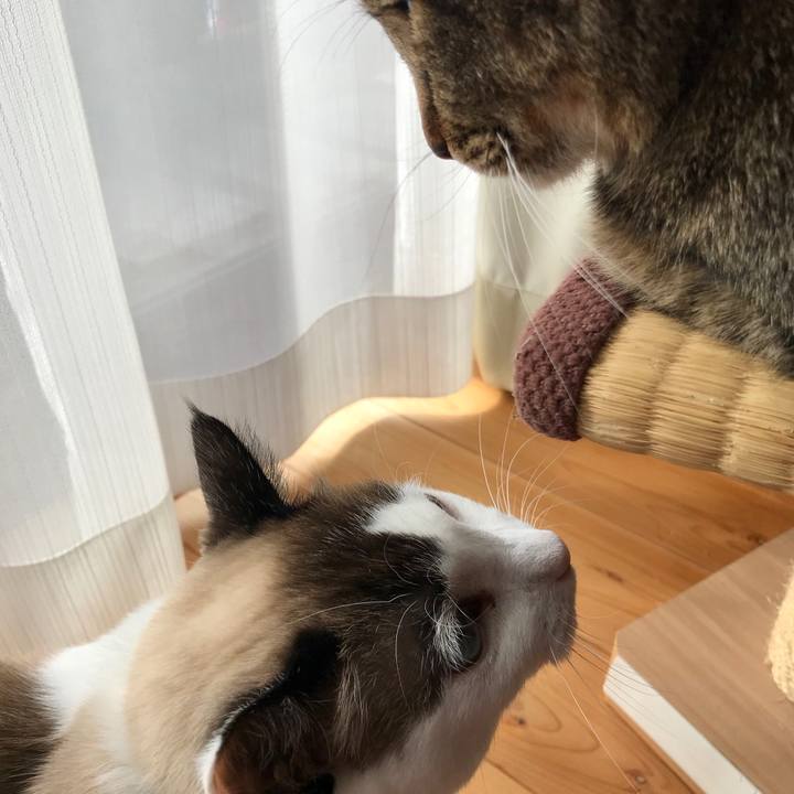 68d78402 07b4 4159 abfa 698f65818484 1577862581066