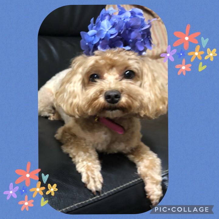 68d78420 c947 4d29 88e7 630278a97bca 1657972129434