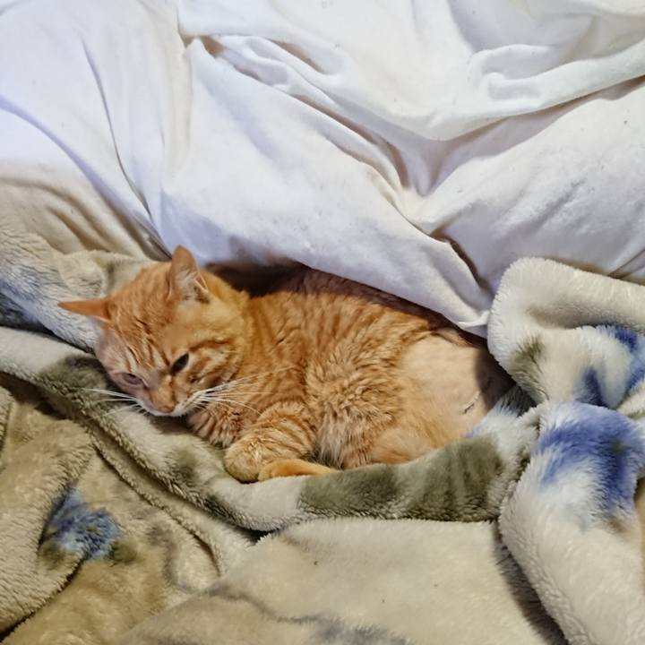 68d7b514 bd70 48e2 9643 b860706d8a8f 1654204499069