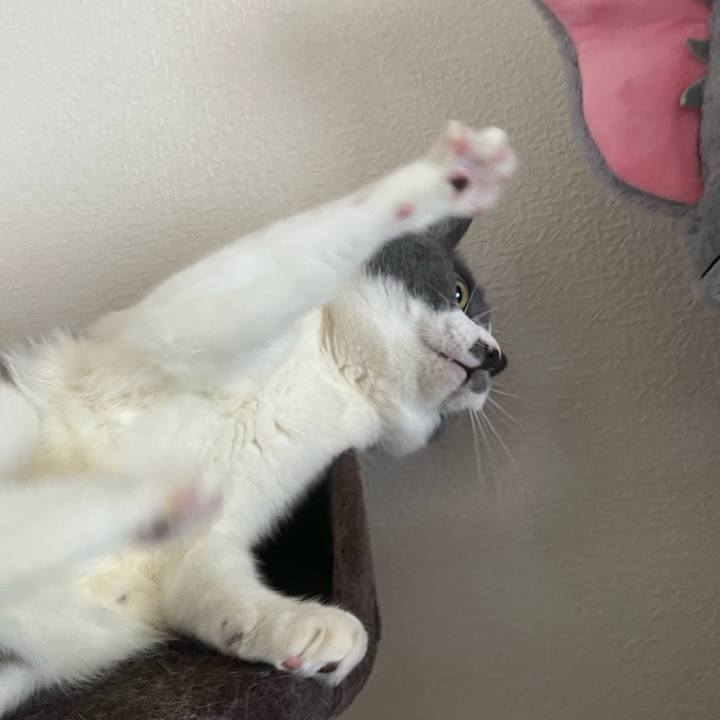 68d7bd84 3e1c 4ad0 b92c 4d6f07e0ff65 1717578018414