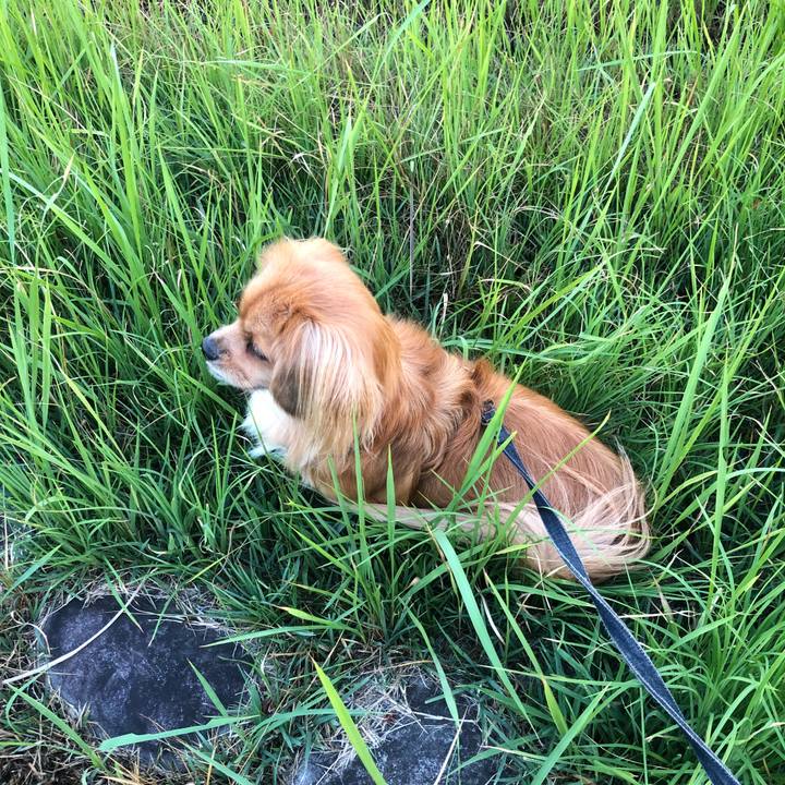 68d7e21f 0fd9 4a7c 9b3d 5b0a880e77a4 1534973793189