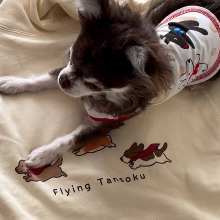 68d8227b f2e5 48da ada8 afd0aa76940d 1649244597225