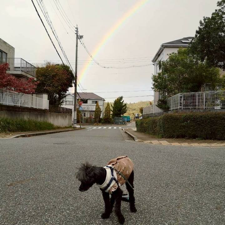 68d8a56d 1289 4f25 a551 3978895dc7c4 1762246203175