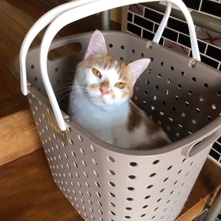 68d8cab6 b488 4f98 acfb 608f3748b982 1630315742630