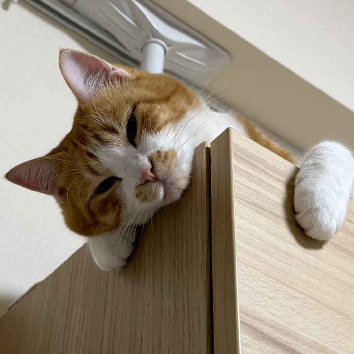 68d8dd32 530a 4e43 903d ca0ef90a02bd 1759890594087