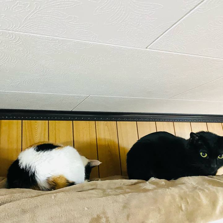 68d922ac aa7e 4d7a 8062 3e93f5065f2c 1677449192826