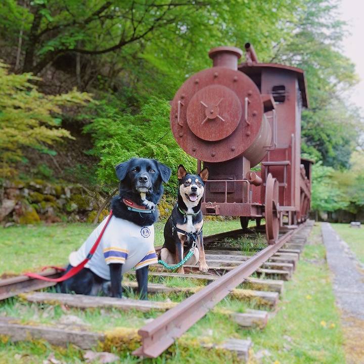 68d92489 d1be 406e b290 0ad491eb82e7 1556719247168