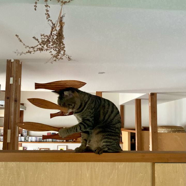 68d93800 6289 4783 94e7 c65bc3b6d945 1689252281619