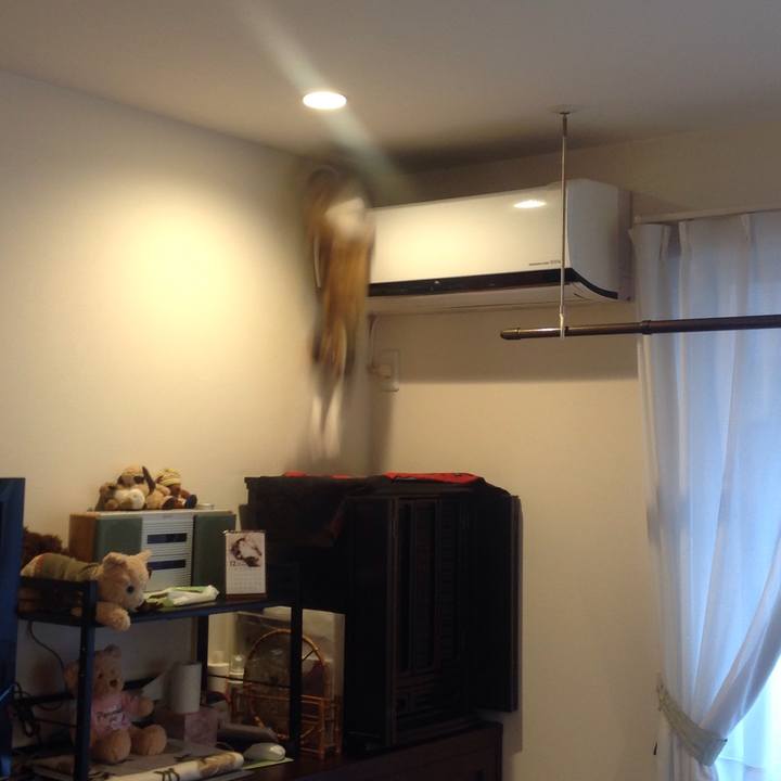 68d94694 3208 43b4 8c11 285e27609013 1640931041627