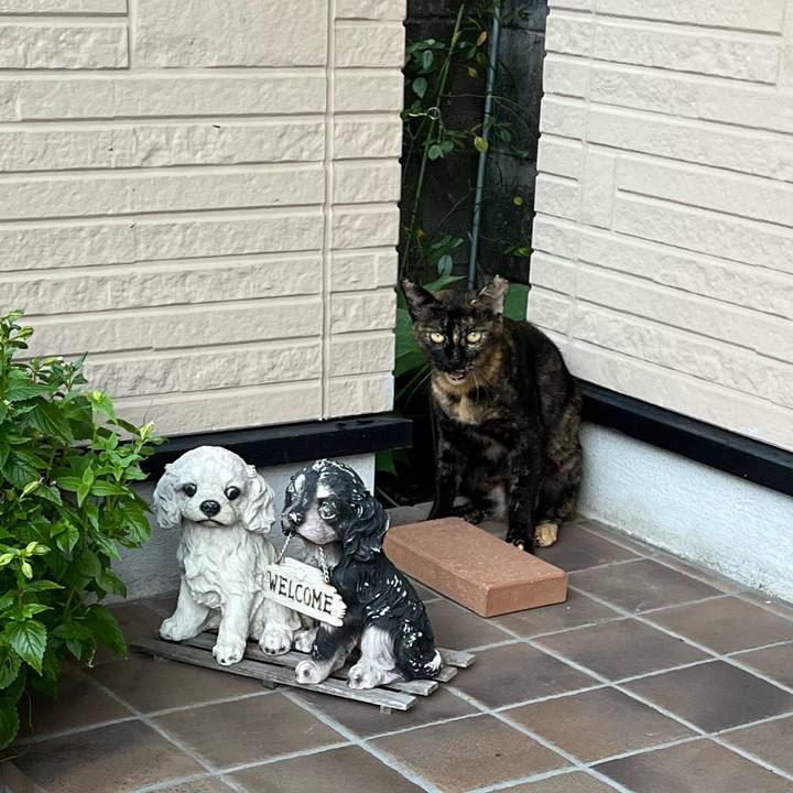 68d98bfd 464d 4b49 9690 a641df501097 1724337142768