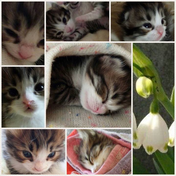 68d9a6aa 43ea 479f 978d 19e632530d29 1520170345350