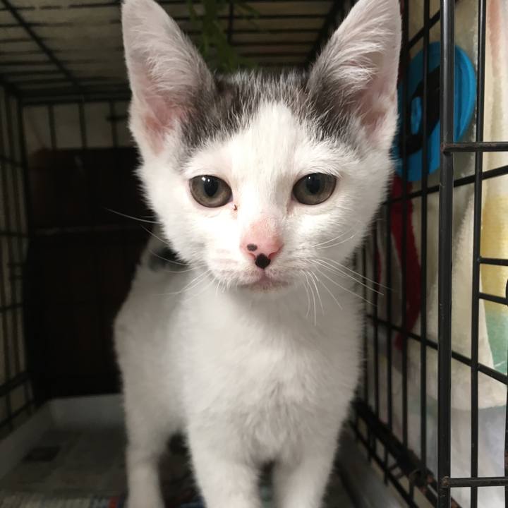 68d9b974 ff43 4edc 8607 76edbd752791 1550649736645