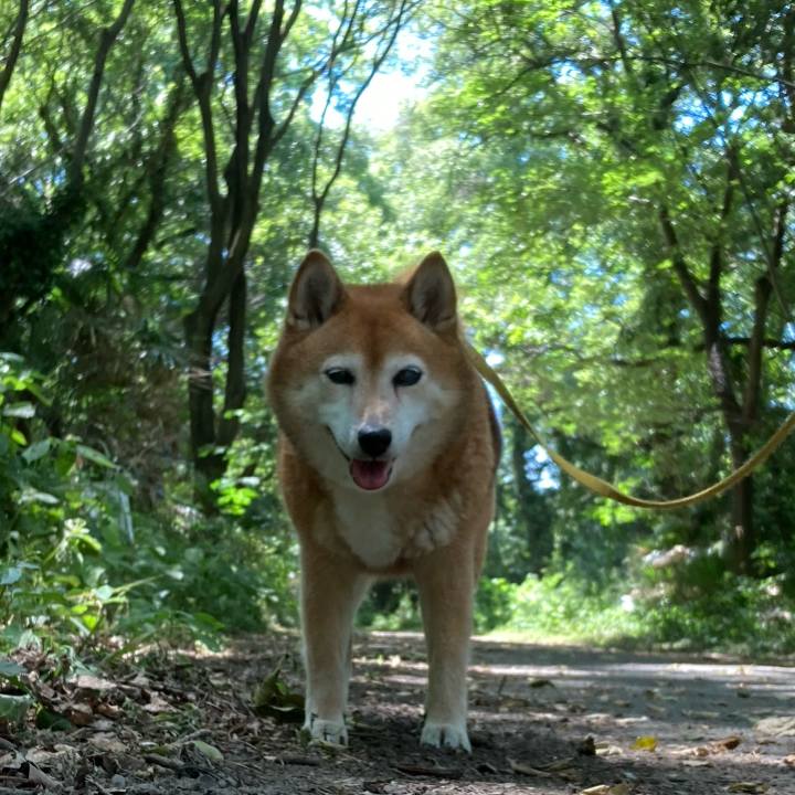 68da44ef 67f2 4c71 967a b8e81adb5c15 1656315306769