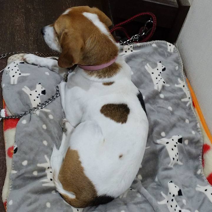 68da644b b6e9 47a9 9880 3a953b436ae7 1580899496953