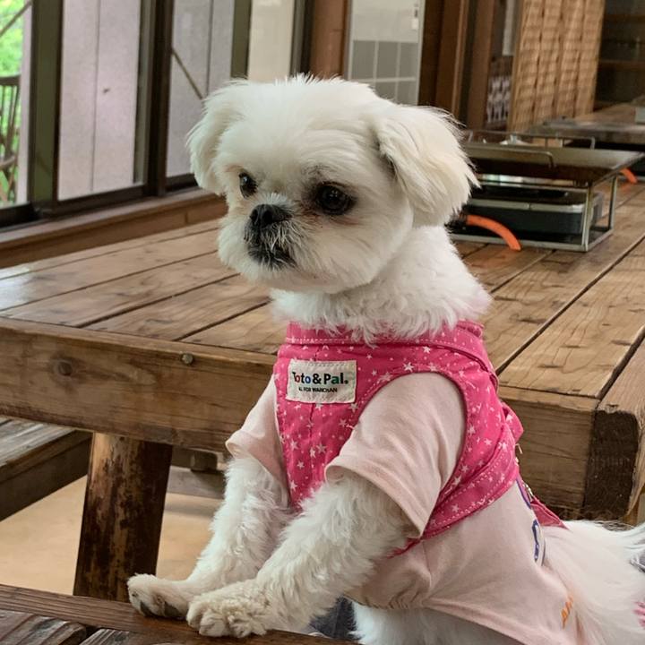 68dad441 7972 446b b1e5 46d70386ed9f 1682838147790