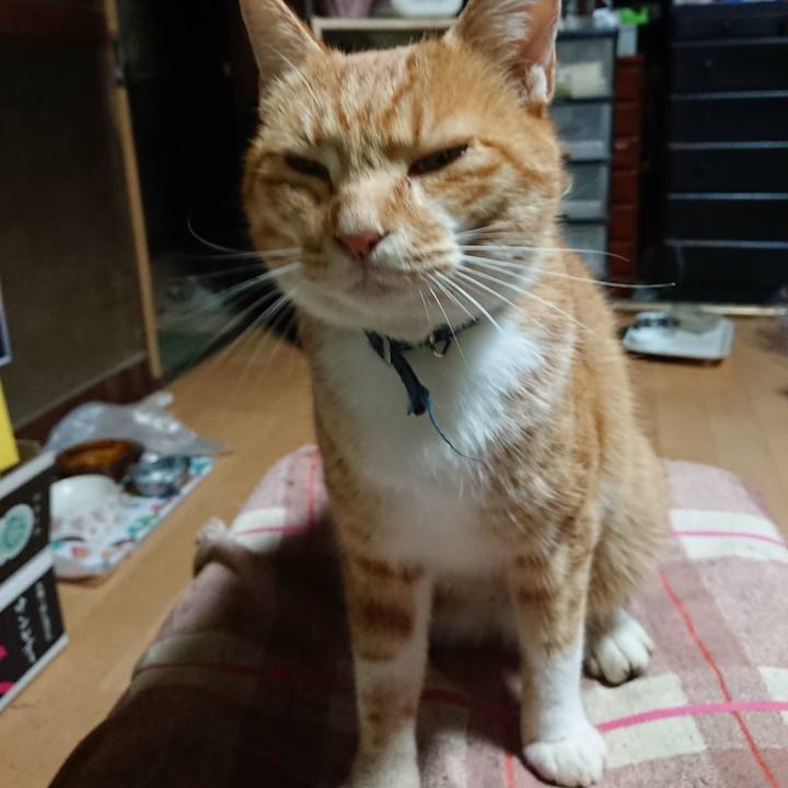 68dadda4 55bf 4282 bd3e d97d9258adf8 1602014160143