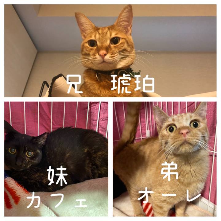 68db05dc 862e 4127 80fb 5a0b008ebe7f 1638216717789