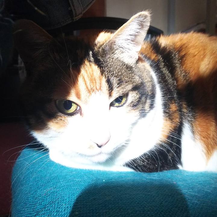 68db1cd8 0d4b 455f 9e34 e945e93b8c5c 1546491211914