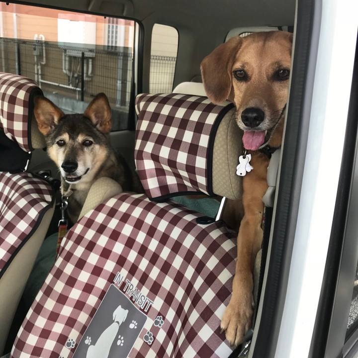 68db2cfb df0a 4df3 b264 15c495d56df7 1537100332840