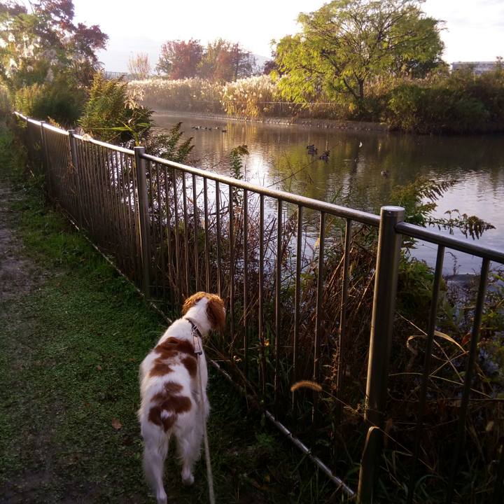 68db3692 ddff 428d bbbd 7d2b085fca56 1511338613260