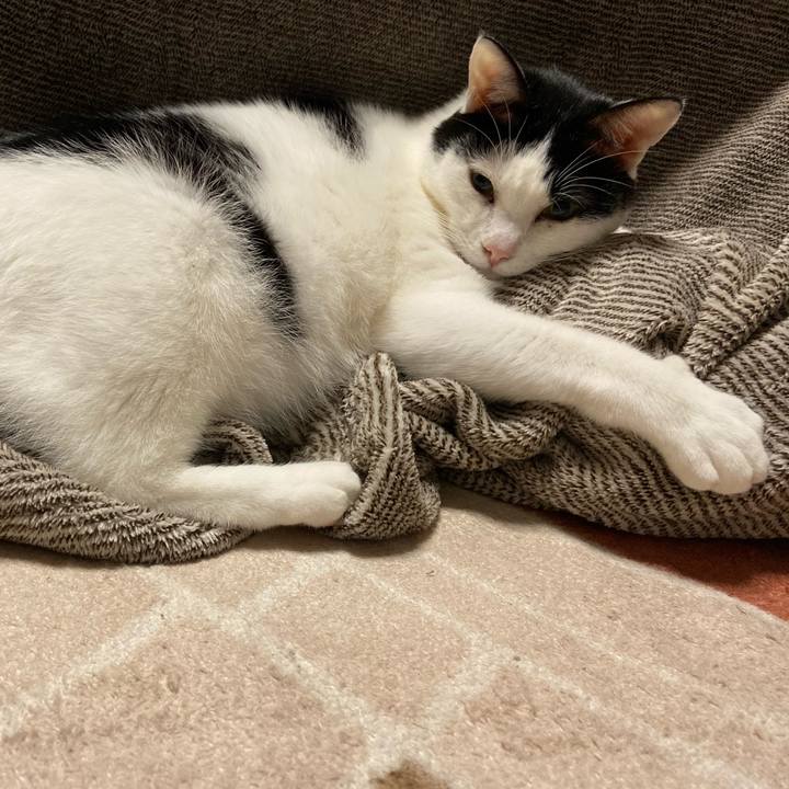 68db4cea 1fae 4350 90d1 68c47a50167e 1576756739011