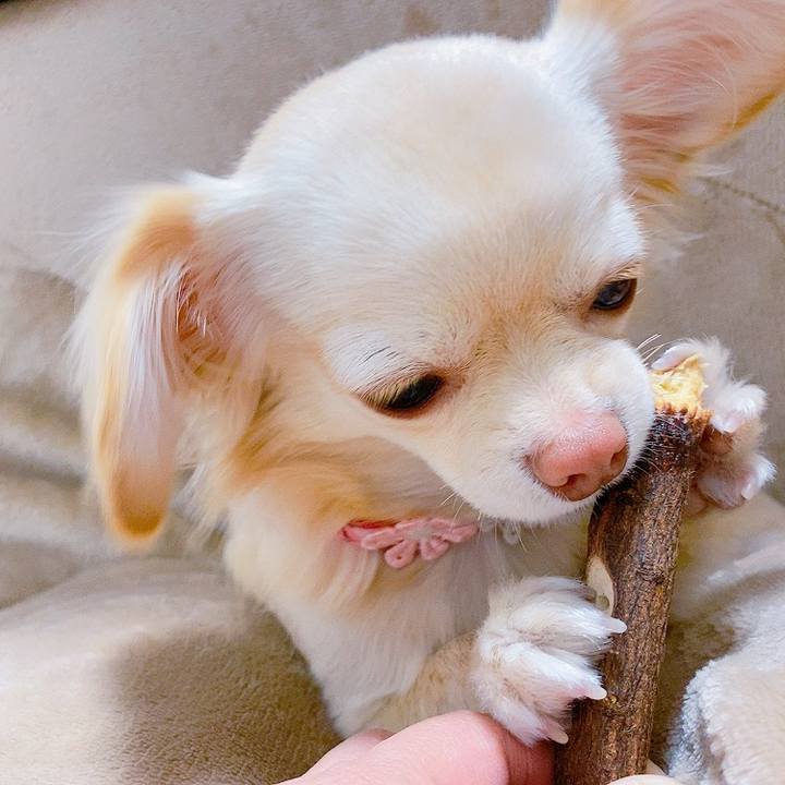 68db7387 2931 4e70 8f9a 29d75f3f8738 1614163945073