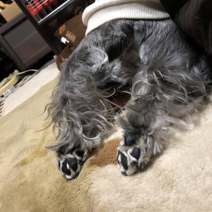 68db9afe eaba 4263 ad87 f386aa542b3f 1542968201958