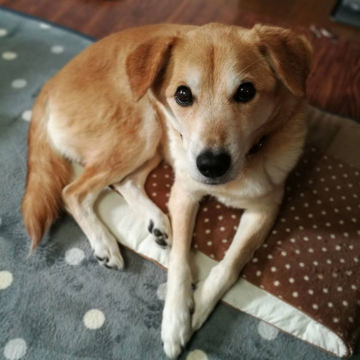 68dbdbfa 7834 4c09 bce4 72d29ed3568e 1545906527595