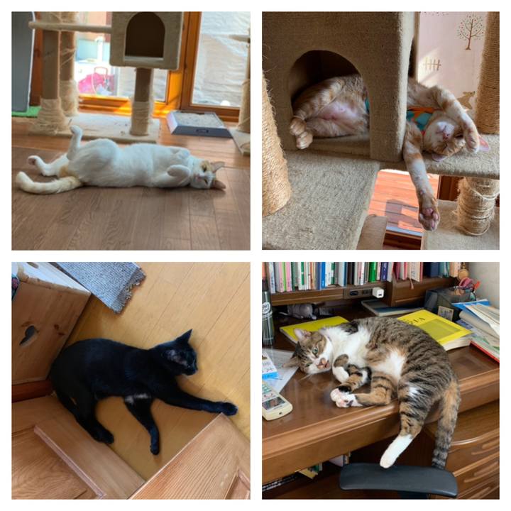 68dc24d8 eba9 4bbe abde 9e8982feb74a 1564819210881