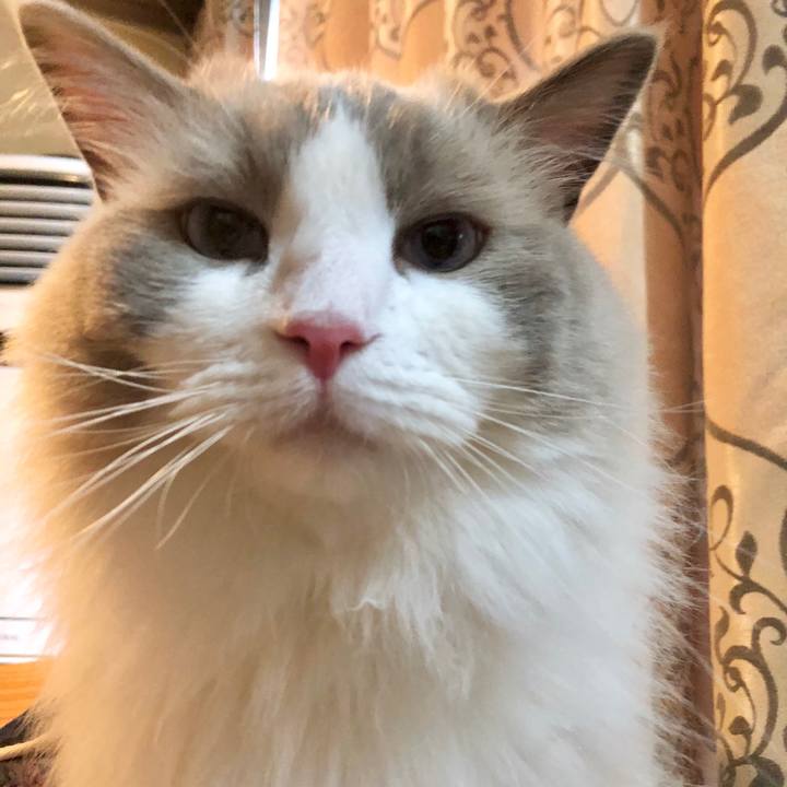 68dc7012 1e61 4201 b85b e08cf320129a 1628052203065