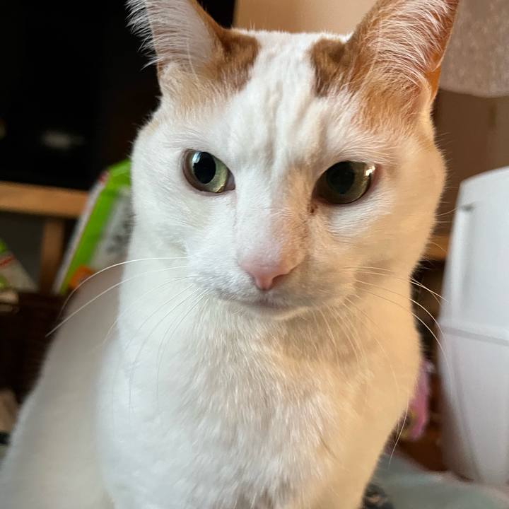 68dcd62e 8437 47f7 b361 ec6d14a4238e 1773242036897