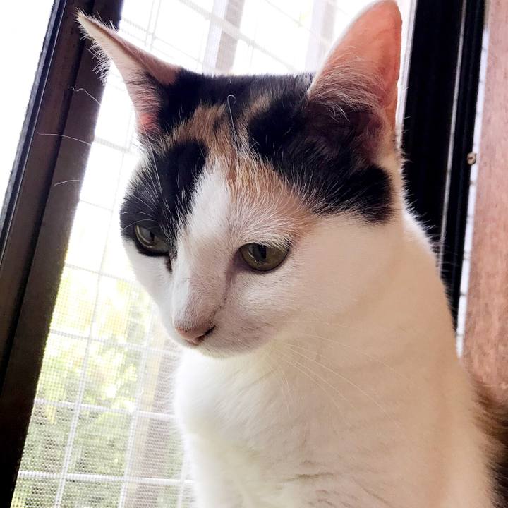 68dd63b0 b761 403c a2e3 4105ab6c612c 1531965721742